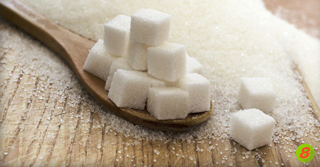 Active8me whats the big deal about sugar