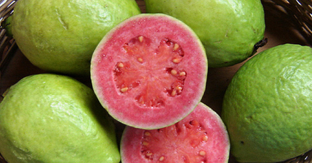 Active8me eat more lose weight benefits of guava