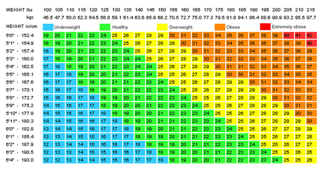 Active8me how to fix being skinny fat BMI chart