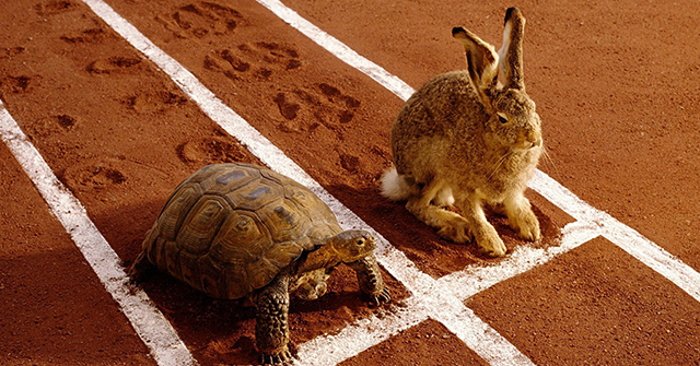 Active8me micro actions are the key to your fitness success turtle and hare finish line