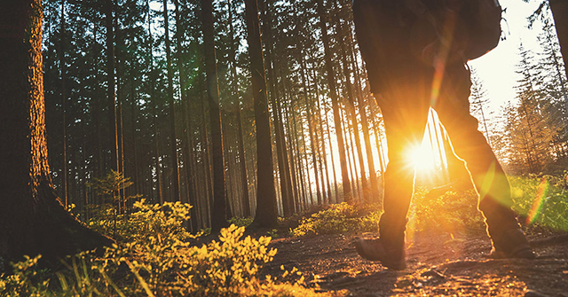 Active8me to detox or not to detox man walking in forest under the sun