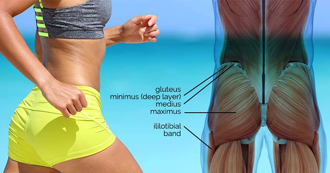 Active8me who doesnt want a toned butt heres why anatomical types gluteus
